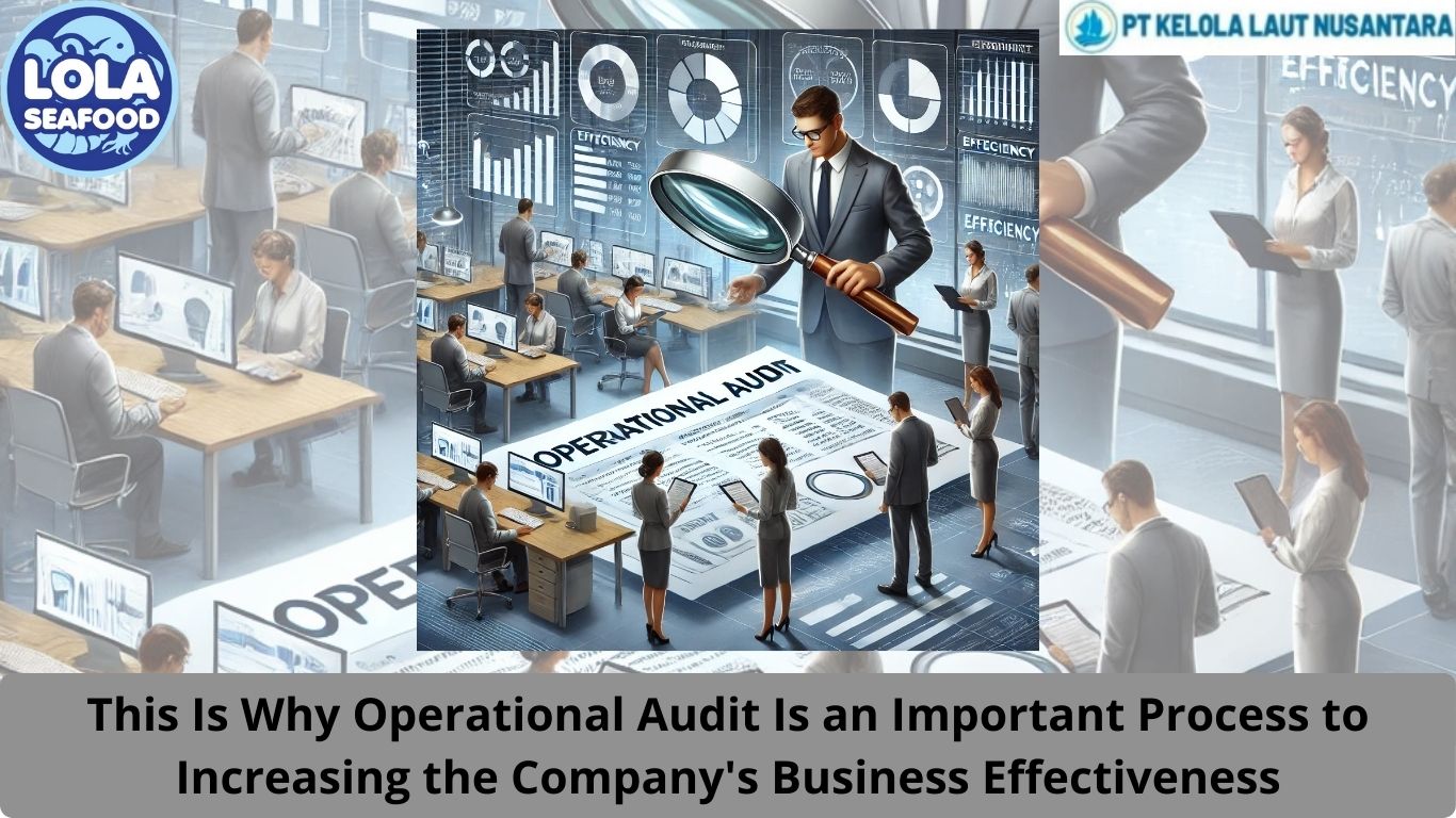 This Is Why Operational Audit Is an Important Process to Increasing the Company's Business Effectiveness